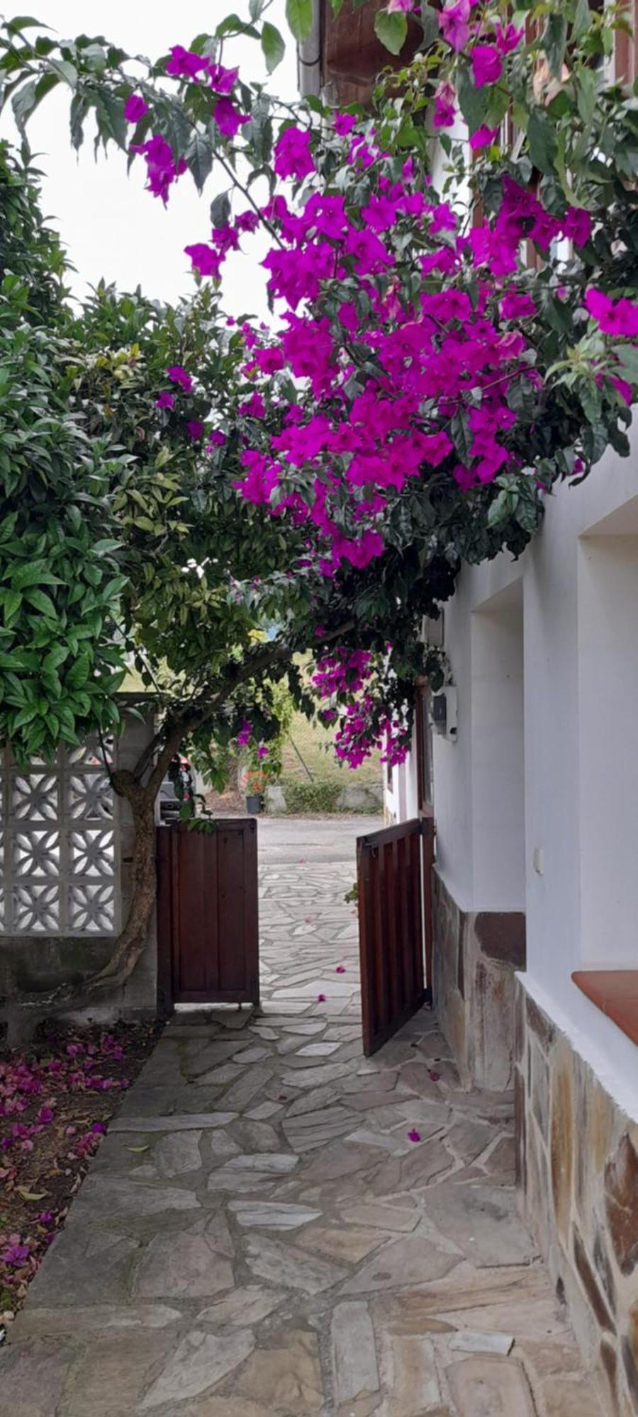 Gestiona2R - Casa Con Finca En Pendueles Al Lado De La Playa Llanes Dış mekan fotoğraf